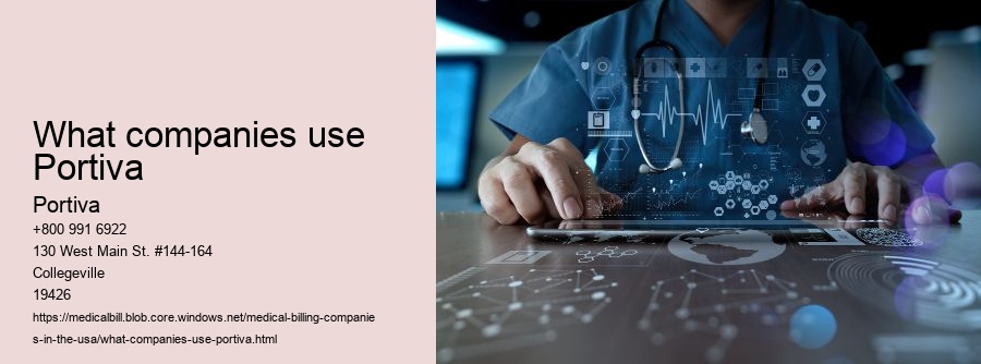 What companies use Portiva